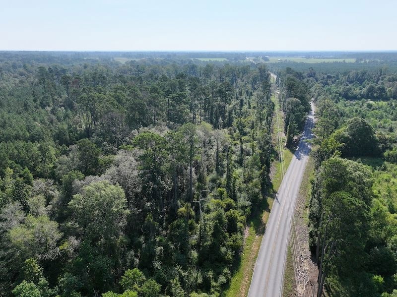 0 Hwy 1045 Hwy unit LotWP003 24553811, Amite, LA 70422 - photo 1