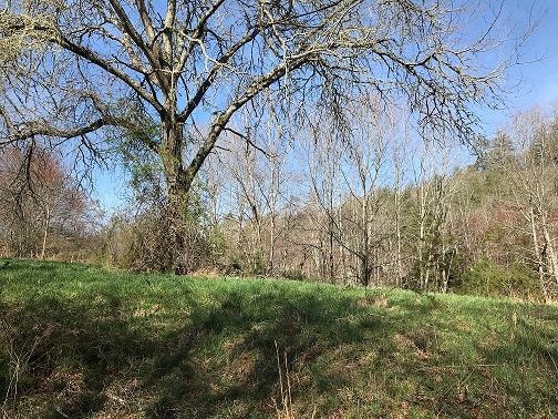 000 S Skeenah Rd, Franklin, NC 28734 - photo 1