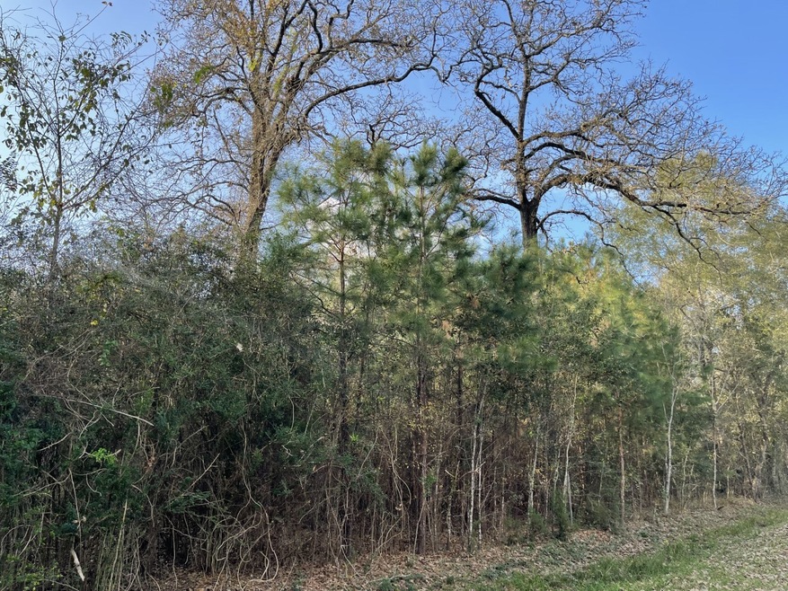 26803 Apache Trail, Magnolia, TX 77354 - photo 1