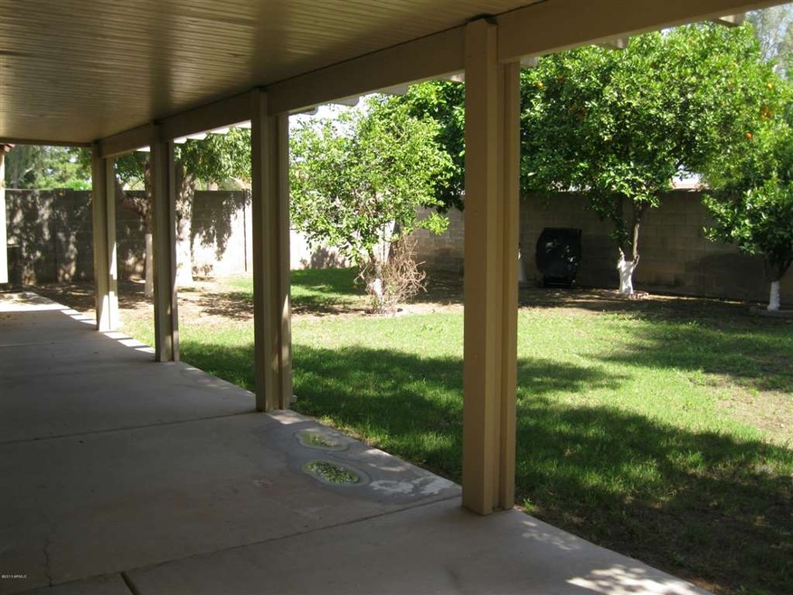 BACKYARD FROM VERANDA