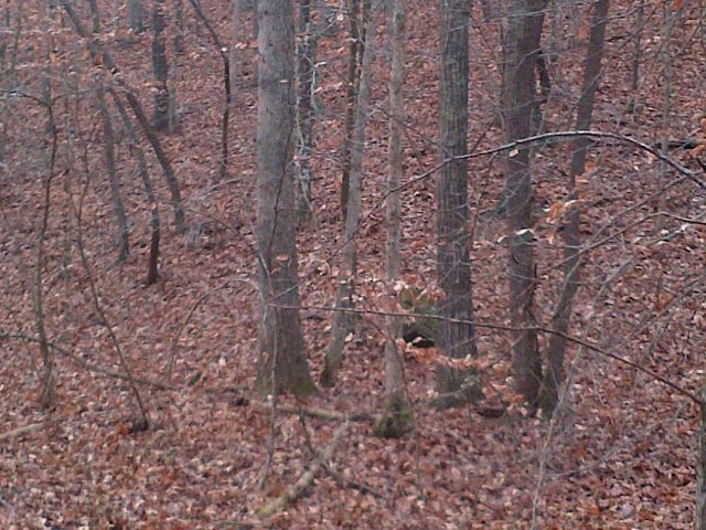 1 Stoney Mountain Rd, Martinsville, VA 24112 - photo 1