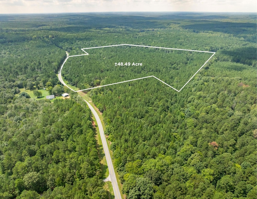 0 Neal Shoals Rd, Union, SC 29379 - photo 1