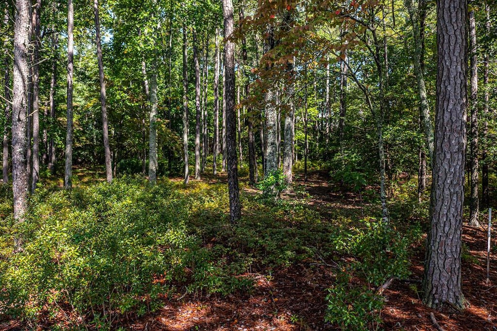Sold $29,000 • Co-Listing Agent