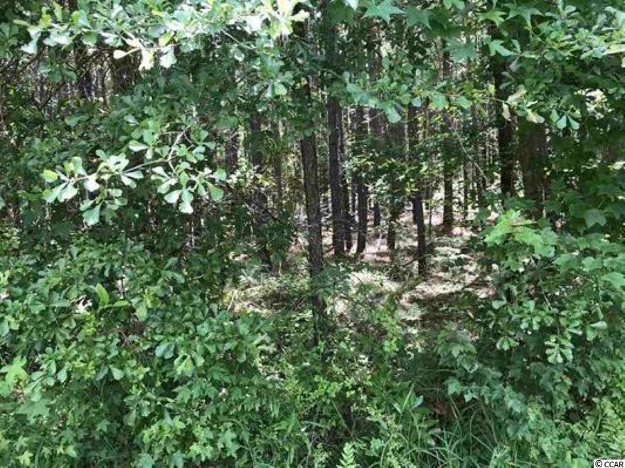 Lots 4 & 5 Chow Ln, Conway, SC 29526 - photo 1