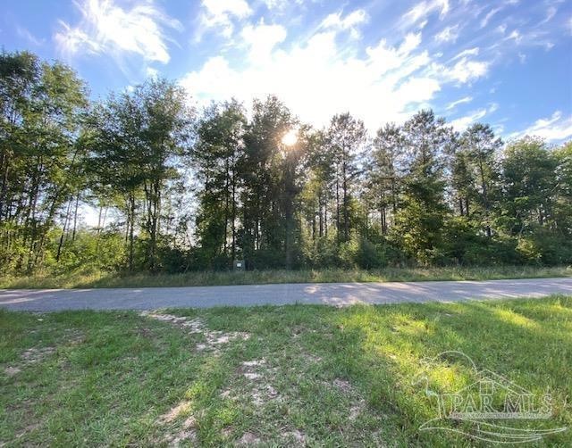 17 Bud Diamond Rd, Jay, FL 32565 - photo 1