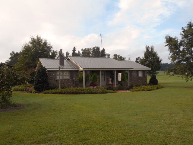 Main View