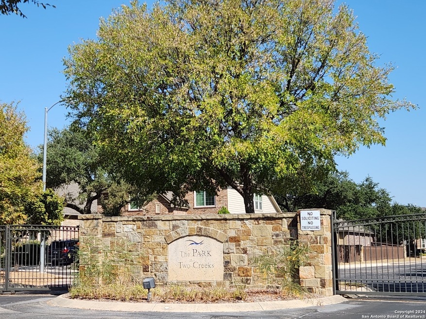 25003 Elwell Point, San Antonio, TX 78255 - photo 1