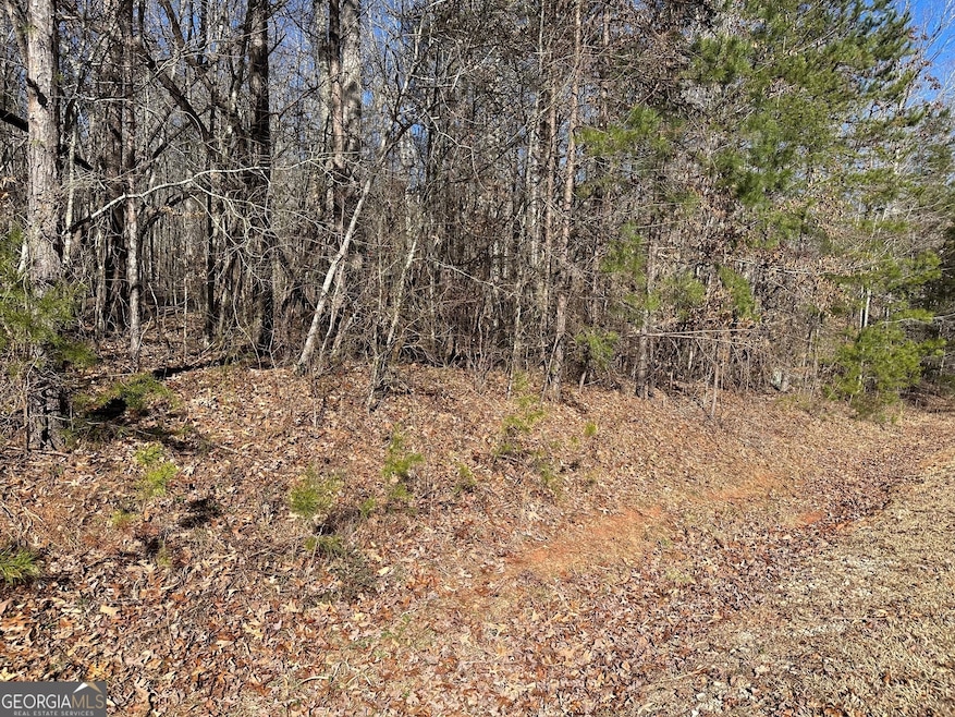 275 Shore Crest Dr, Martin, GA 30557 - photo 1