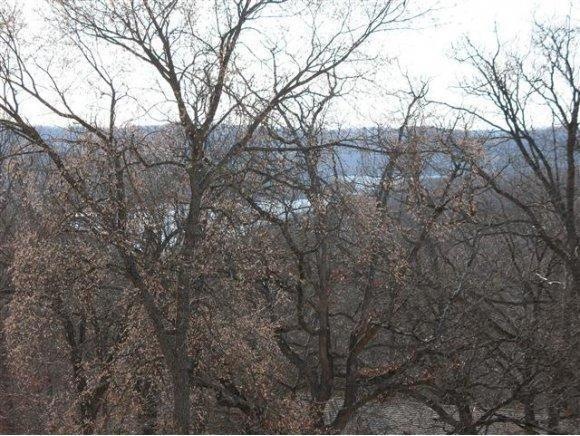 Lot 23 Irish Hills Blvd, Kimberling City, MO 65686 - photo 1