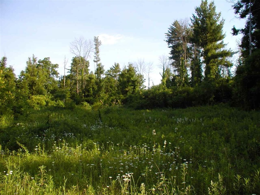 0 Leeds-Athens Rd unit 201612548, Athens, NY 12015 - photo 1