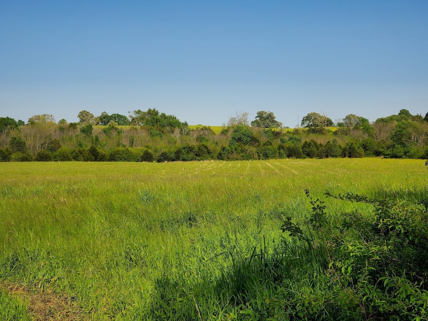 260 Temple Ford Rd, Shelbyville, TN 37160 - photo 1