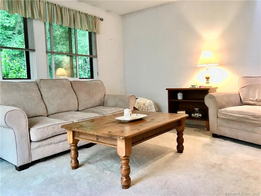 60 Deer Run, Bethel, CT 06801 - photo 1