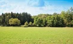 Sold • Co-Listing Agent