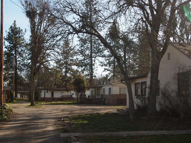 Primary Photo