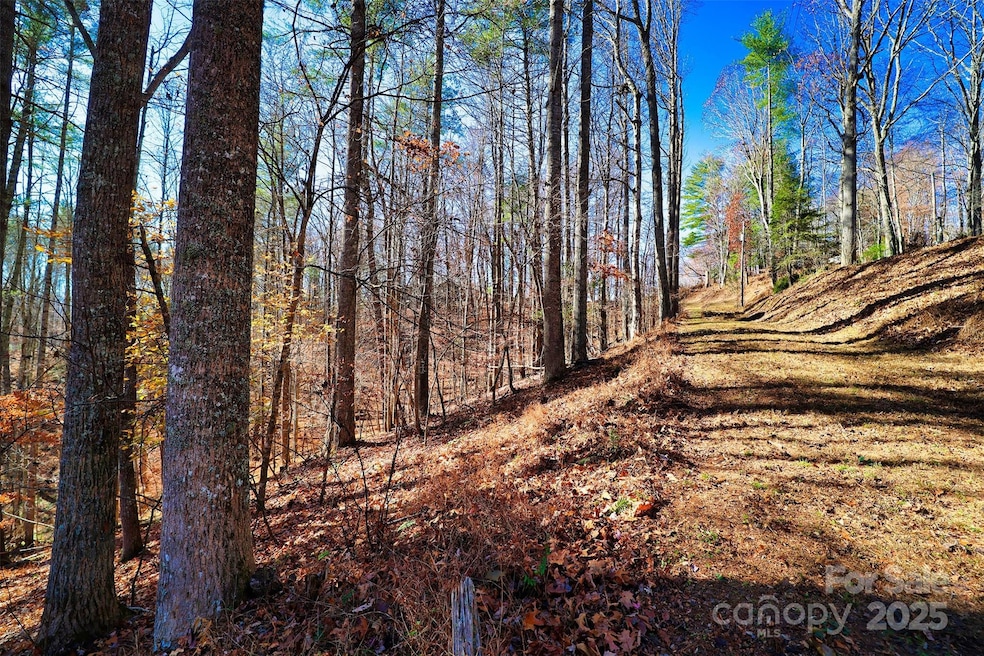 TBD Rockinghorse Trail unit Tract 1, Burnsville, NC 28714 - photo 1