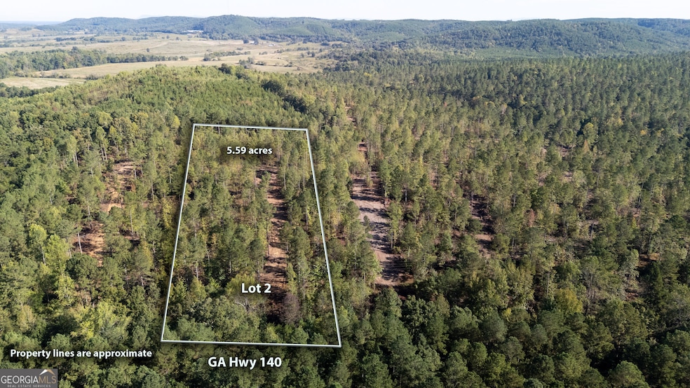 3785 Hwy 140 NE, Rydal, GA 30171 - photo 1