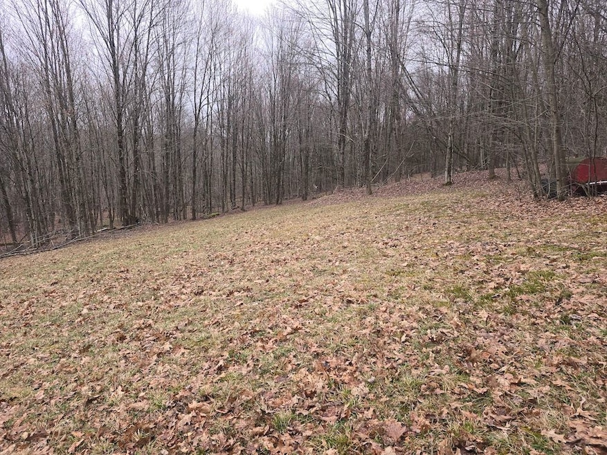 599 Ostrander Rd, Windsor, NY 13865 - photo 1