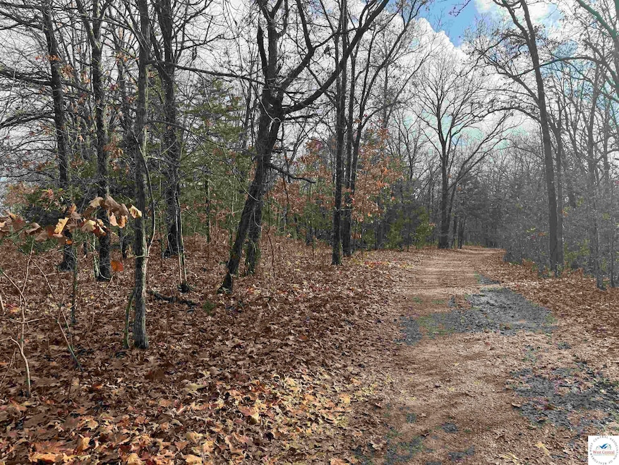 24978 Highway H, Lincoln, MO 65338 - photo 1