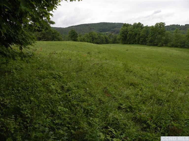 0 Maple Dr, Canaan, NY 12060 - photo 1