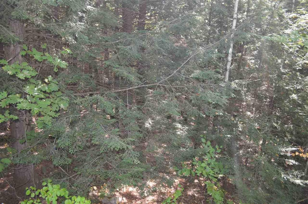 5 Sagamore Ridge unit Lot 5, Tuftonboro, NH 03816 - photo 1