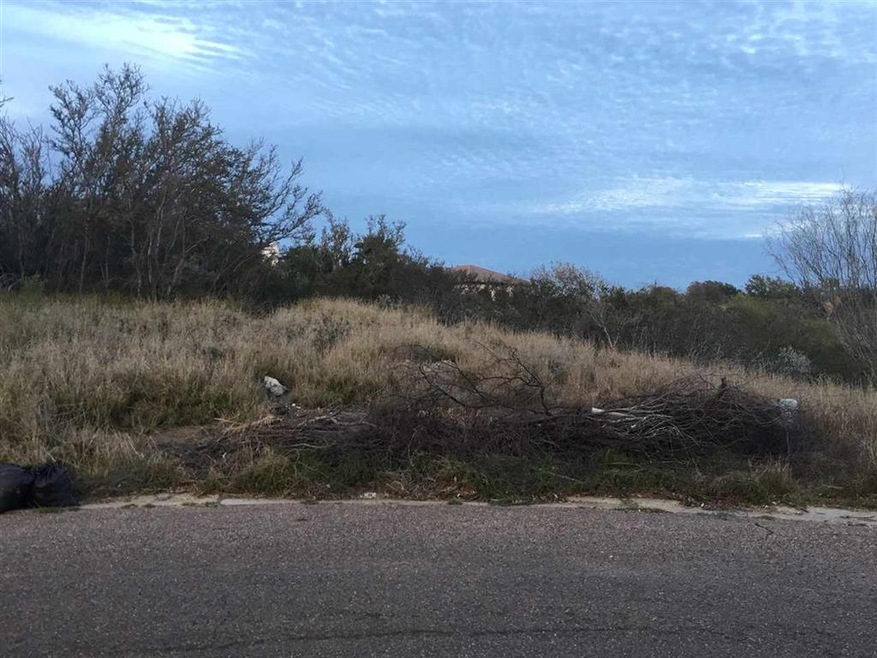 113 Mourning Dove Ct, Laredo, TX 78045 - photo 1