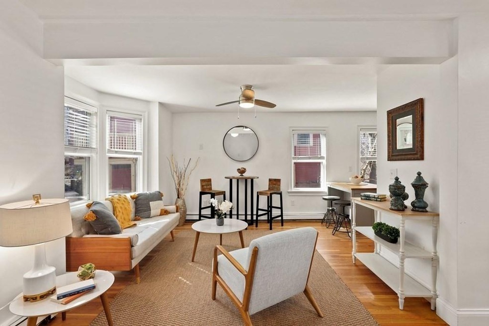 19 Norfolk St unit 2, Roxbury, MA 02119 - photo 1