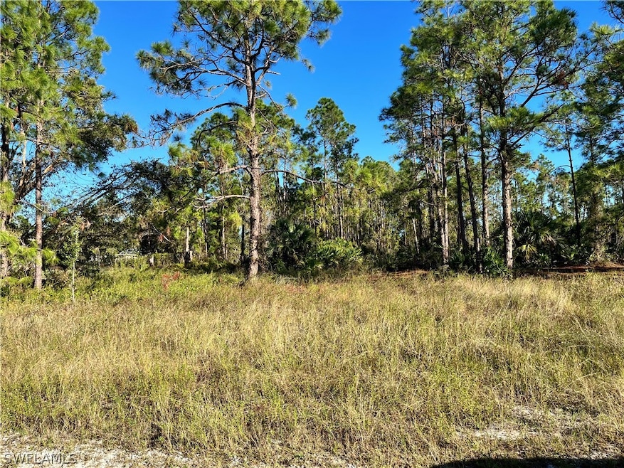 749 Langford St, Lehigh Acres, FL 33936 - photo 1