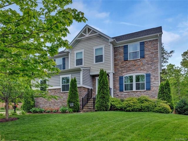 16907 Wild Senna Place, Moseley, VA 23120 - photo 1