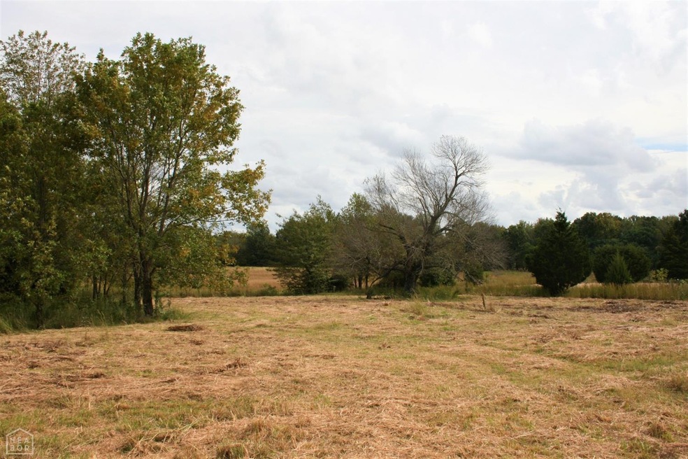 14 + - Acres Cr 766, Jonesboro, AR 72405 - photo 1