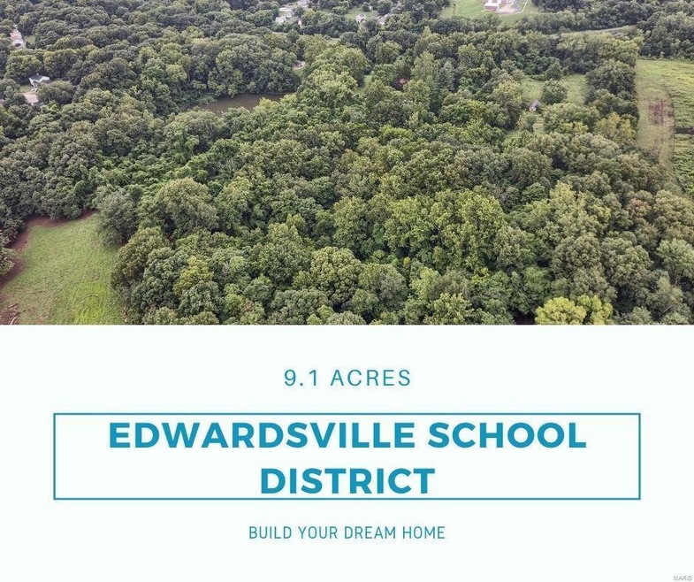 200 Private Rd, Glen Carbon, IL 62034 - photo 1