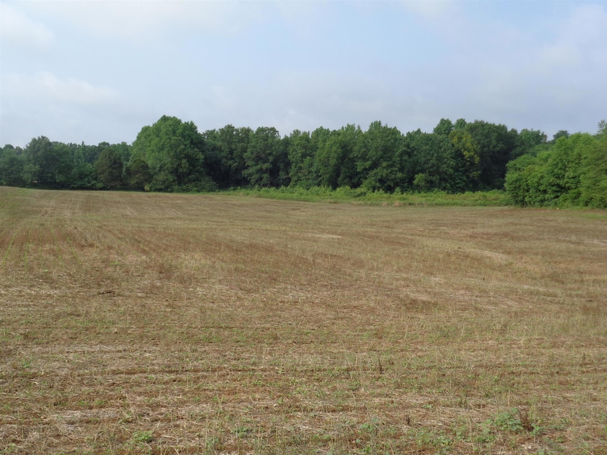 1 Old Seminary Rd, Manchester, TN 37355 - photo 1