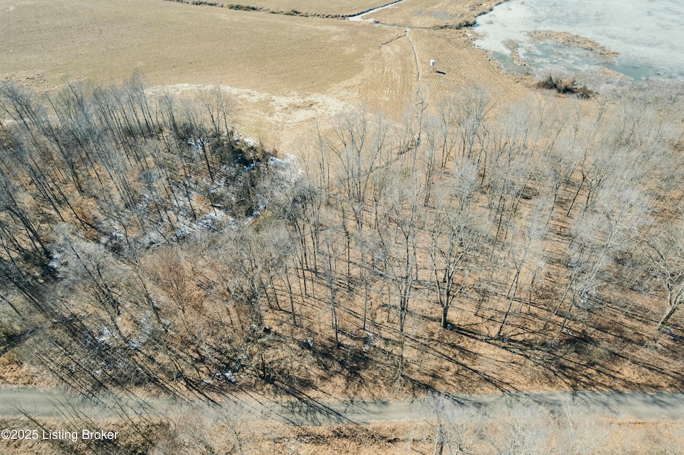 438 Ridenours Way, Falls of Rough, KY 40119 - photo 1