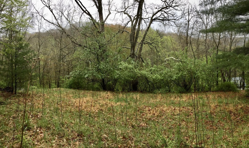 12949 Cass Rd, Cass, WV 24927 - photo 1