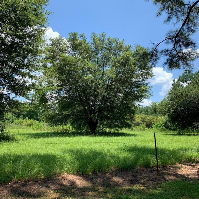 unlisted-address, Tylertown, MS 39667 - photo 1