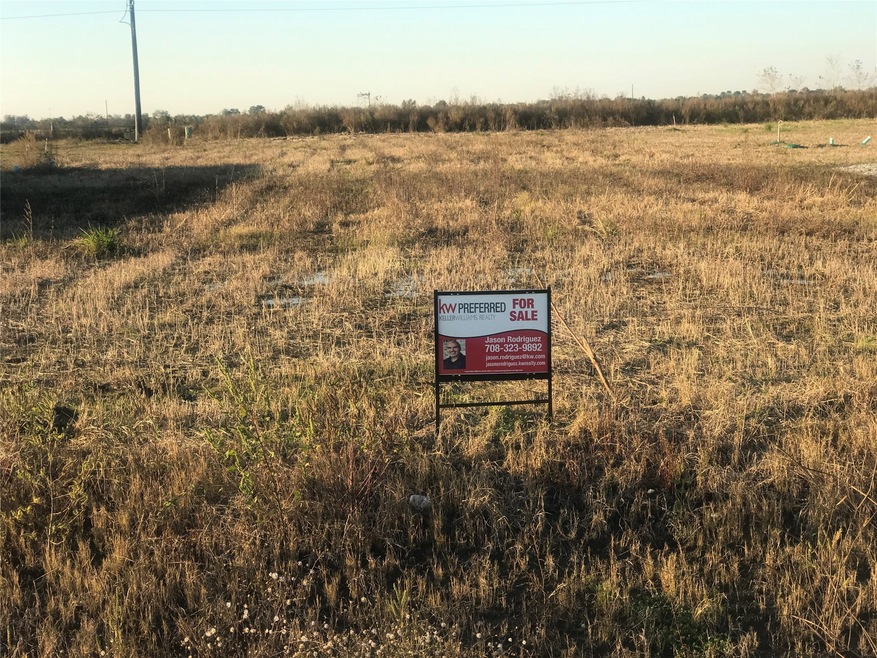 8702 Los Robles Ave, Alvin, TX 77511 - photo 1