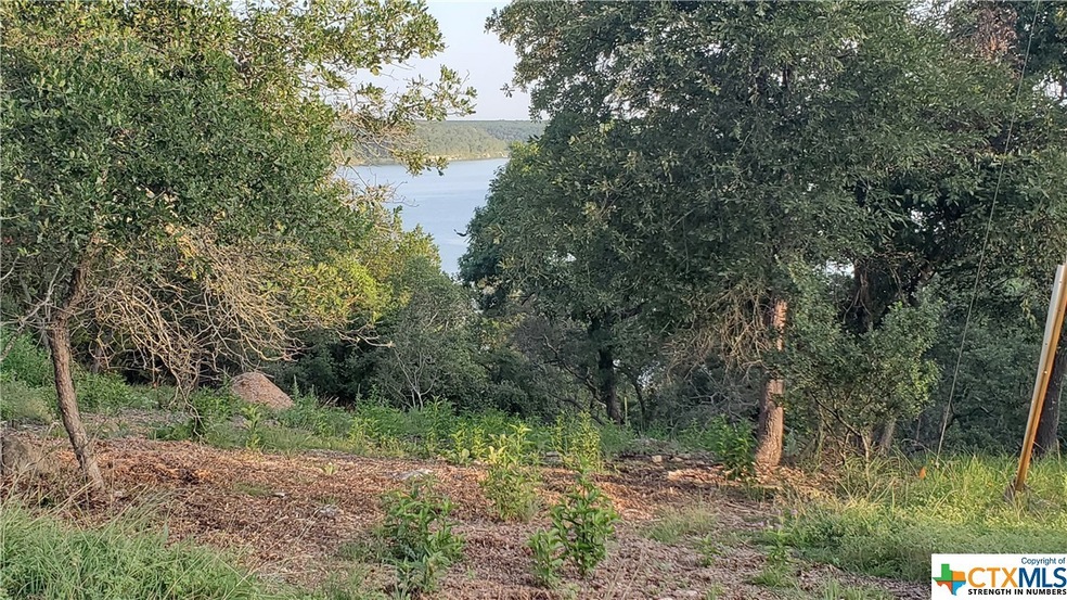 15897 Goliad Loop, Temple, TX 76502 - photo 1