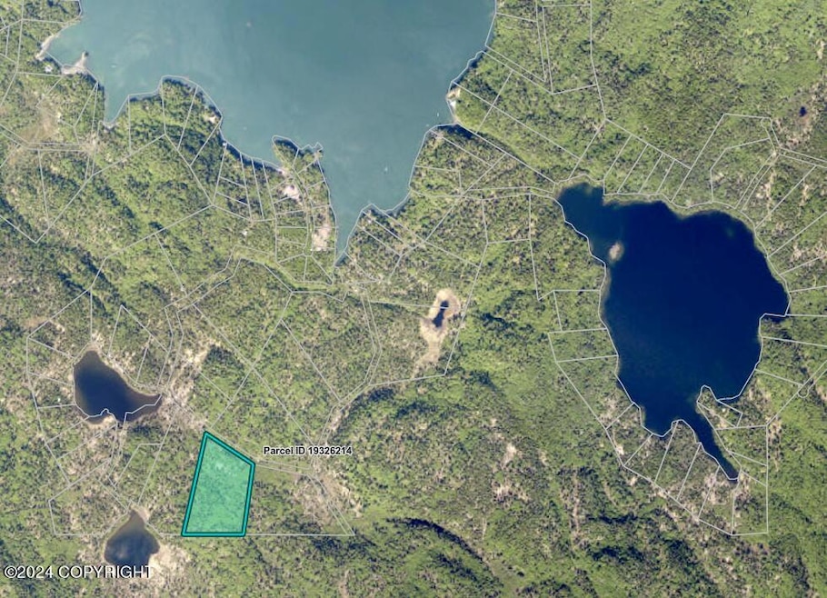 38695 Bear Cove Loop Trail, Remote, AK 99603 - photo 1