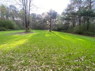 TBD Millers Ln Irene Rd, McComb, MS 39648 - photo 1
