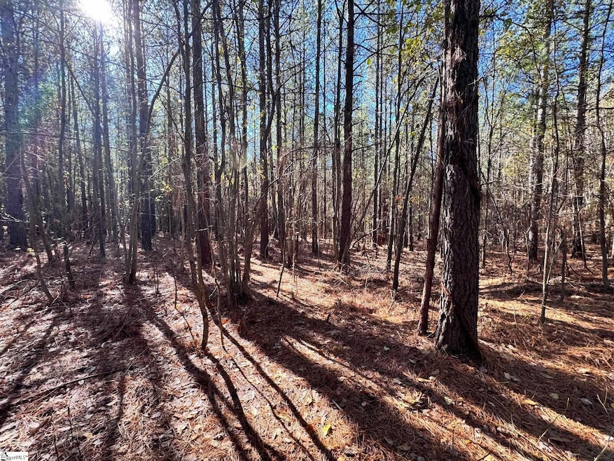 0 Eastview Rd, Pelzer, SC 29669 - photo 1