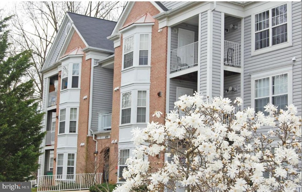 655 Burtons Cove Way unit 11, Annapolis, MD 21401 - photo 1