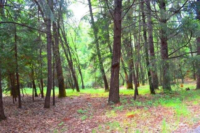 The property is graced by a mature stand of oak tr