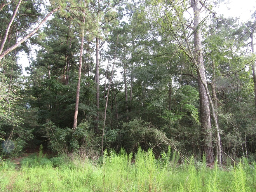2.53 Acres Hackberry Dr, Plantersville, TX 77363 - photo 1