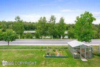 01-Back Yard MS_0607