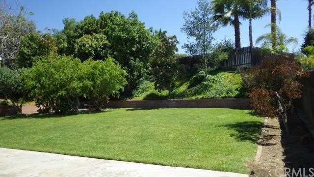 Private and Spacious  Backyard complete with Avoc