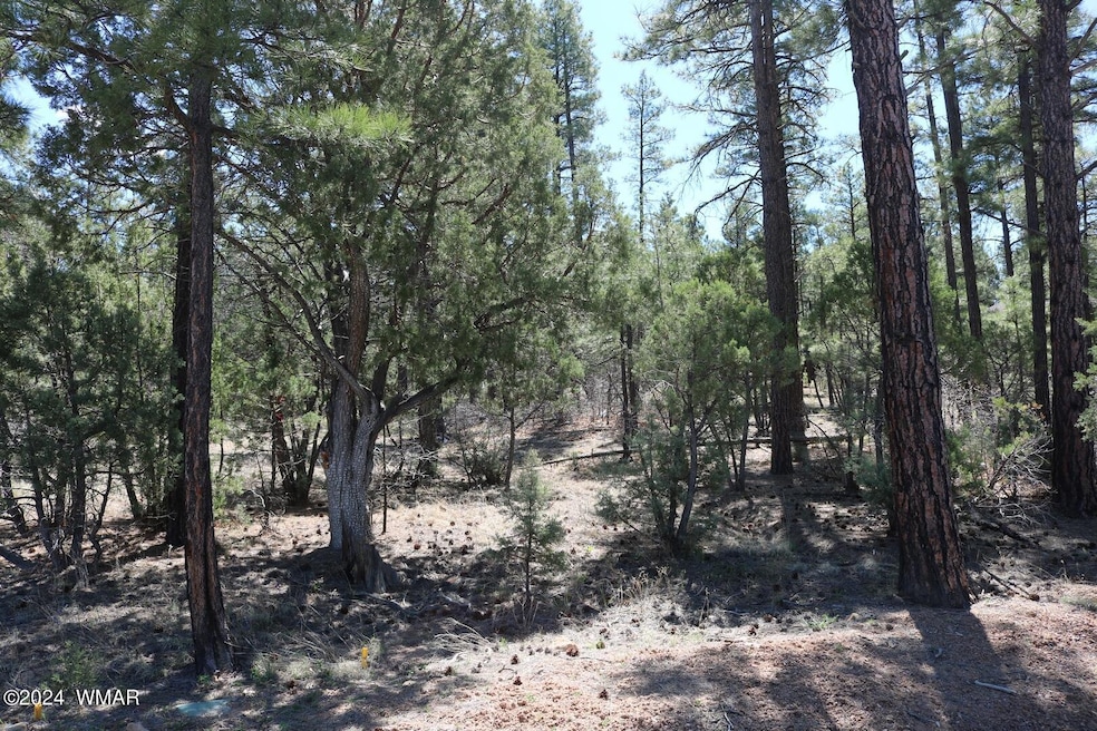 Lot 64