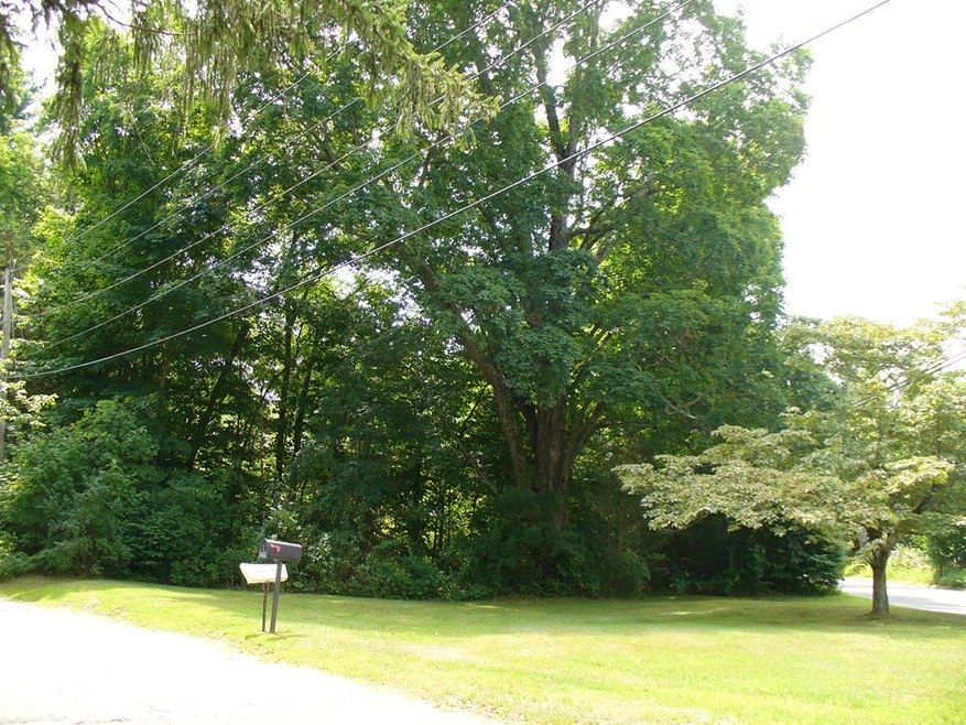 105 Mason St, Palmer, MA 01069 - photo 1