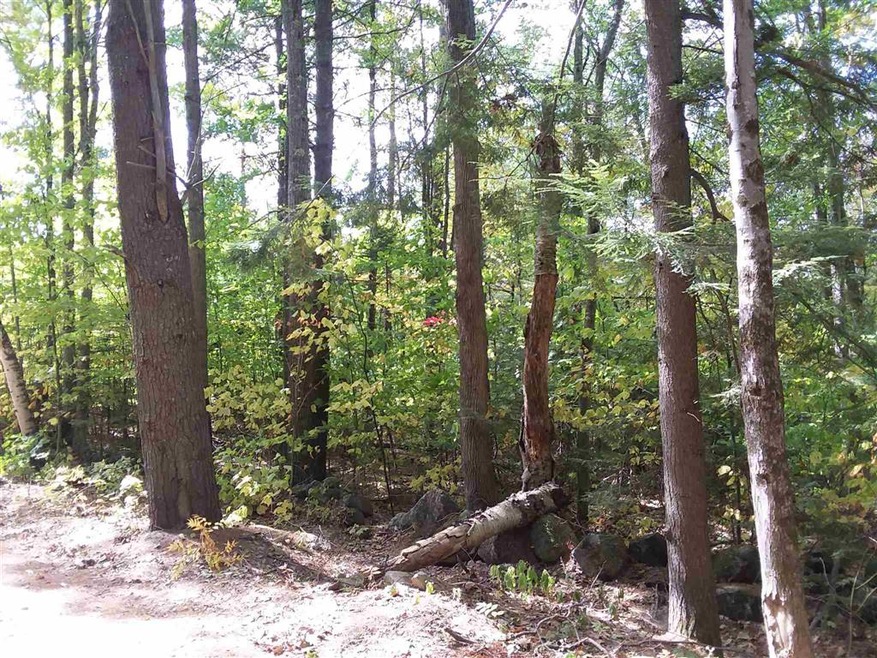 0 Fernwood Farms Rd unit 4830434, Canaan, NH 03741 - photo 1