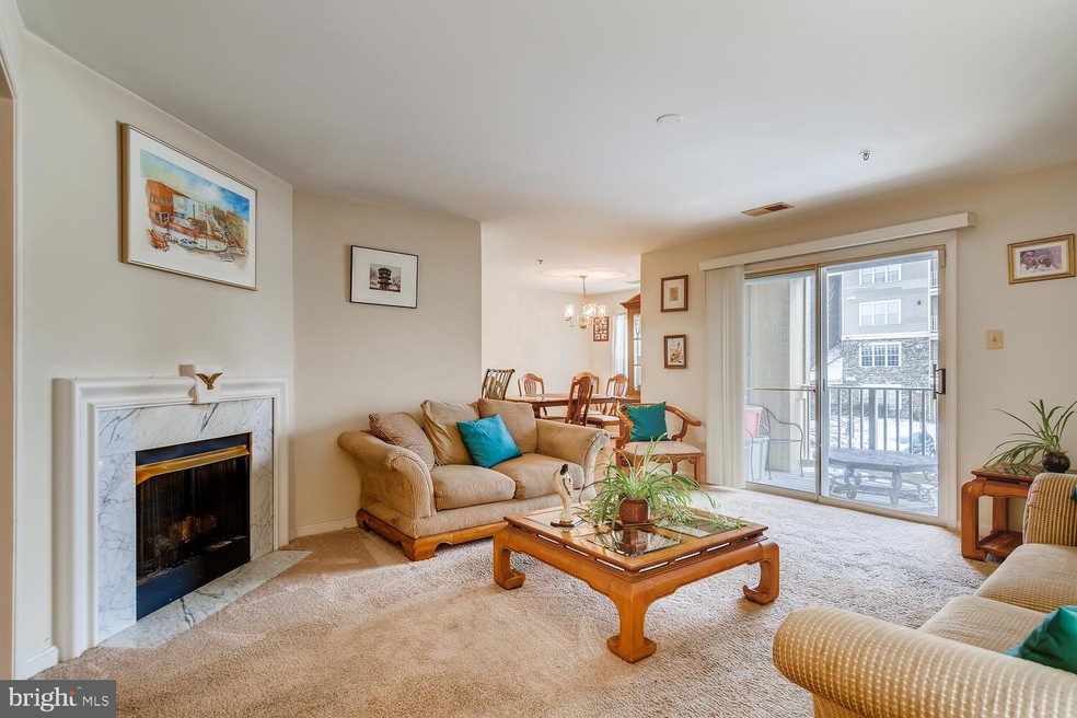 8807 Stone Ridge Cir unit 204, Pikesville, MD 21208 - photo 1