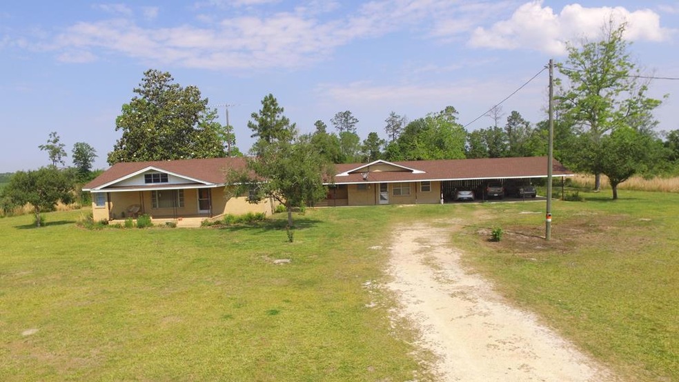 196 Amazon Rd, Alma, GA 31510 - photo 1
