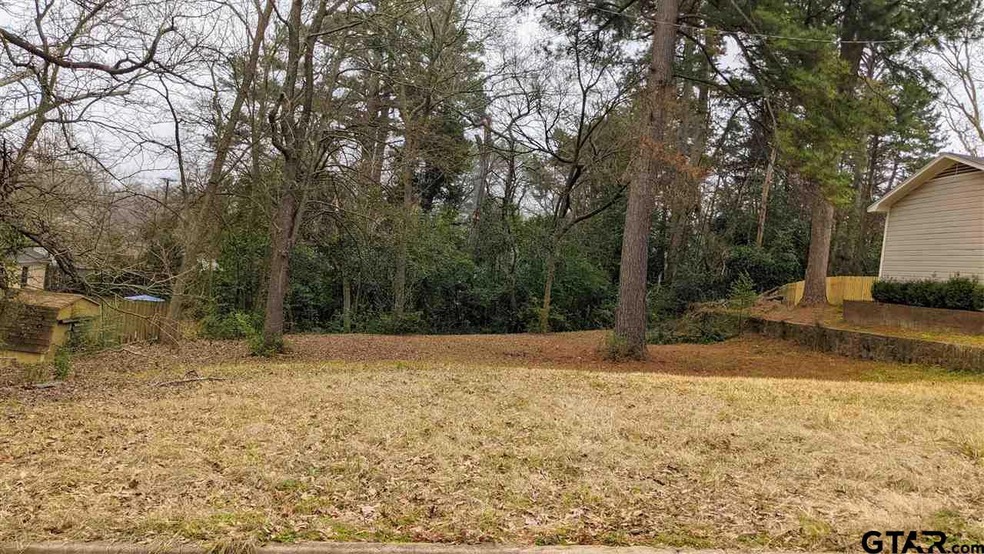 1012 S Azalea Dr, Tyler, TX 75701 - photo 1